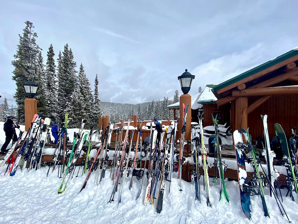 A snowy ski lodge scene with many colorful skis lined up in the foreground and tall evergreen trees in the background, under a clear sky.